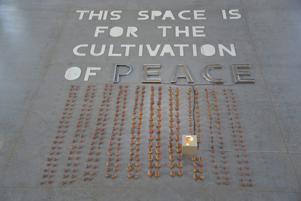 Ulster Project Sign ‘The Ulster Garden Project’ opens on 16th December - Common Ground